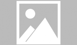 大猩猩交配视频